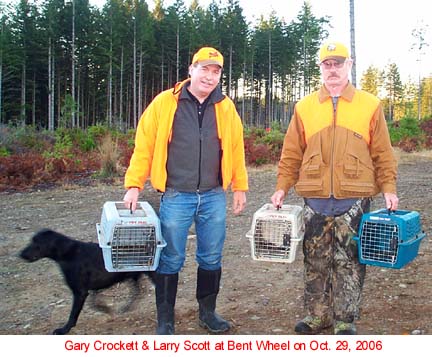 Cat carriers are used to walk-in the birds