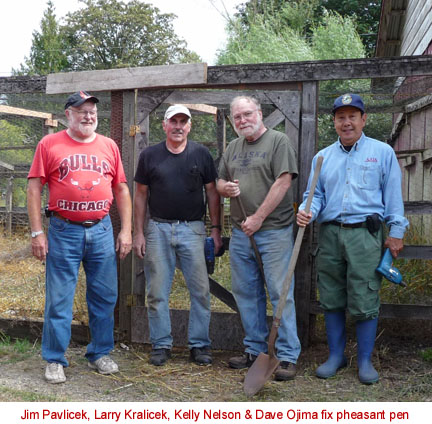 Pheasant pen is good to go for another year